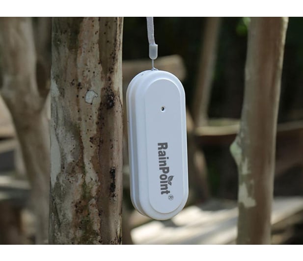 Rainpoint Inteligentny termo-higrometr Smart+ - 1540737 - zdjęcie 7